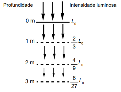 Imagem de apoio da questão